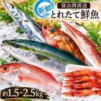 鮮魚セット 富山湾直送 とれたて鮮魚