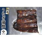 うなぎ うなぎ蒲焼 真空パック