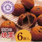 ED-3 茨城の焼栗 6個入◇