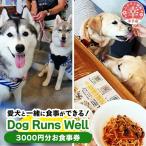 お食事券 ”愛犬と伴にお食事” Dog Runs