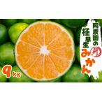 みかん 蜜柑 温州みかん 極早生みかん 柑橘