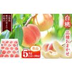 ふるさと納税 山形の白桃 秀品 5kg(13 - 20玉) 品種おまかせ 秀品 山形県産【2025年8月上旬頃から9月下旬頃発送予定】2025年産 令和7年産 0.. 山形県寒河江市