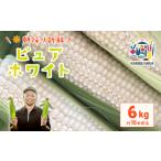 ふるさと納税 とうもろこし ピュアホワイト 6kg 先行予約 トウモロコシ 茨城県下妻市