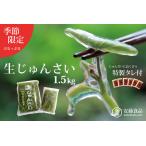 生じゅんさい1.5kg ゆずタレ6個 2027年5月上旬頃~7月下旬ま…
