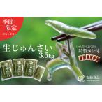 生じゅんさい3.5kg ゆずタレ6個 2027年5月上旬頃~7月下旬ま…