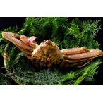 ふるさと納税 【’26先行予約】鳥取