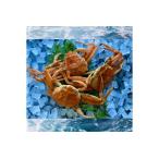 fu.... налог [..] есть перевод пара поломка . дом для Япония море производство родители gani(sekoga 2 ) 3 листов [ рассылка на день указание возможно ] [244-WK20] Tottori префектура . Sakura блок 