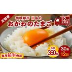 ふるさと納税 【12ヶ月定期便】相模原市田名のおがわのたまご　ピンク卵　Mサイズ 30個(27個＋割れ補償3個)×12か月※着日指定不可 神奈川県相模原市