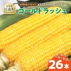産とうもろこし みやざきフレッシュスイートコーン