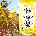 お米 精米 5kg