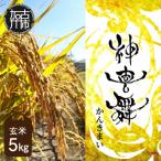 お米 玄米5kg