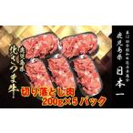 ふるさと納税 AS-2034 北さつま牛 切り落とし 合計1kg(200g×5パック) 鹿児島県薩摩川内市