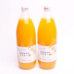 とろり みかんネクター1000ml×2本