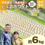 とうもろこし ピュアホワイト 6kg