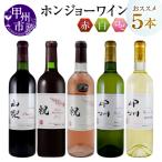 ワイン ホンジョーワインおススメ5本セット