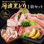 丹波黒どり 地鶏 1羽セット ブランド鶏