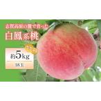 ふるさと納税 志賀高原の麓で育った 桃(白鳳系)特秀18玉 約5kg 桃 もも 白鳳 フルーツ 果物 デザート 長野県 長野 長野県山ノ内町