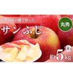 りんご 志賀高原 サンふじ 丸秀18玉 5kg
