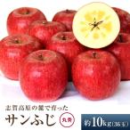 りんご 志賀高原 サンふじ 丸秀 36玉