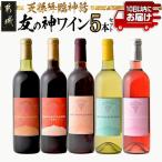 天孫降臨神話 友の神 ワイン5本セット 都城産ワイン