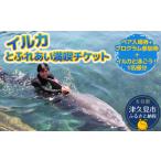 イルカと泳ごう イルカとふれあい体験