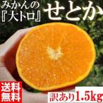 ふるさと納税 みかん の大トロ せとか 1500g 訳あり ブランド 和歌山 有田みかん 農家直送 オレンジ フルーツ 果物 和歌山県有田川町