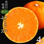 せとか みかんの大トロ 4kg