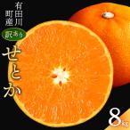 せとか オレンジ 訳あり 8kg