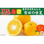 甘夏 玉ぞろい 箱込 7.5kg