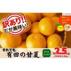 みかん うま採り 箱込約 2.5kg