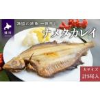 漁協の地魚一夜干し ナメタカレイ 大サイズ 5尾入