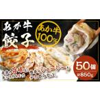 阿蘇 産あか牛餃子 50個