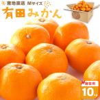 有田みかん Mサイズ 約10kg