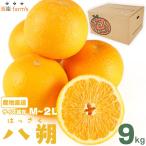 ☆八朔☆サイズ混載 M~2L ☆9kg