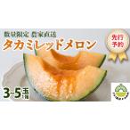 ふるさと納税 メロン タカミレッドメロン 1箱 3玉〜5玉 メロン メロン メロン メロン メロン メロン メロン メロン 茨城県八千代町