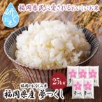 Z17-28 令和7年産 研ぐお米 元気つくし25kg