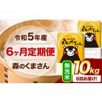 令和5年産 森のくまさん 無洗米 10kg