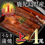 うなぎ 無投薬 計560g以上
