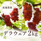 島田農園 デラウェア2kg