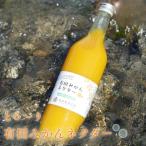とろり みかんネクター1000ml×4本