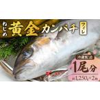 鹿児島 ねじめ黄金カンパチ フィレ 1尾