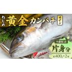 鹿児島 ねじめ黄金カンパチ ロイン 片身分 約400g×2本