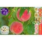 ふるさと納税 桃の一大産地『大藤の特秀品』！透過式光センサー選別化粧箱入り 約2kg【2026年発送】（MG）B12-474 桃 フルーツ 山梨県甲州市