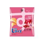 湖池屋のLサイズすっぱムーチョさっぱり梅 108g×12袋