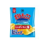 湖池屋のLサイズポテトチップスじゃがいもと塩 112g×12袋