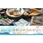 イカ 甑島の詰め合わせ いか _ss2264_CR