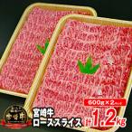 宮崎牛ローススライス N023-YZG005