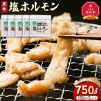 民が絶賛する 炭や 塩ホルモン 750g