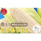 ふるさと納税 【先行予約】【旭川近郊産】白いとうもろこし(ホワイトショコラ他)4kg<11-13本>(2025年8月上旬発送開始予定) | とうもろこし .. 北海道旭川市