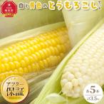 白と黄色のとうもろこしセット 各5本